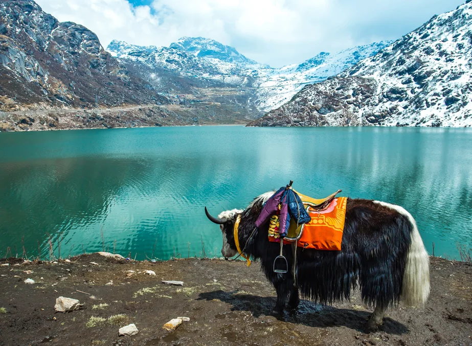 Tsomgo Lake in East Sikkim surrounded by snow-covered mountains