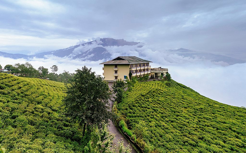Temi Tea Garden
