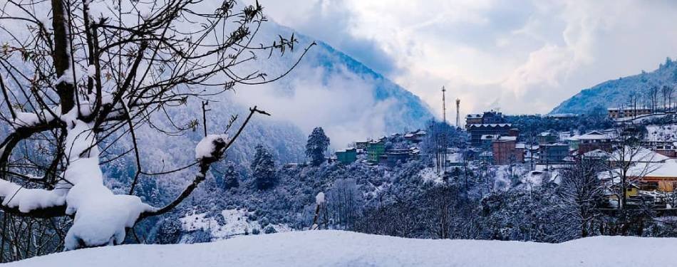 🌿 A Month-by-Month Travel Guide to Sikkim Changing Landscapes